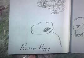 John's drawing of a Prairie Poppy. Definitely something to hang
