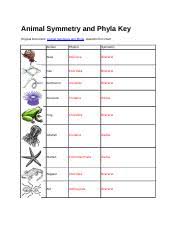 Animal Symmetry And Phyla Key Animal Phylum Matching