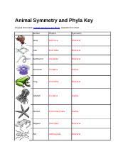 animal symmetry and phyla key animal phylum matching