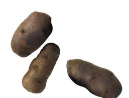 This variety was selected from progeny of the pacific northwest heirloom variety 'ozette.' ozette is probably one the first potatoes introduced to north america. Http Www Potatoperspective Org Dropzone Thewaypotatoesgo Pdf