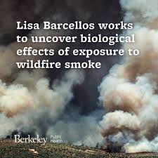UC Berkeley Epidemiology and Computational Biology Professor Lisa Barcellos  received $1.46 million to study wildfire smoke's effects