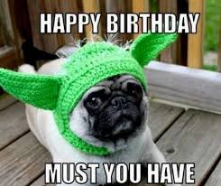 Wishing you joy and happiness in life! 50 Funny Birthday Memes Happy Birthday Dog Meme Funny Happy Birthday Meme Birthday Greetings Funny