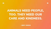 92 Best Quotes About Animal Rights — To Help Fight Cruelty