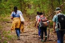 Beginner Friendly Family Bird Walk