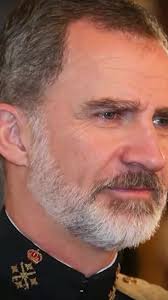 Jaime De Burgo Parecido Con Leonor