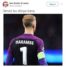 Zhxhhz Komik Seyler Gulunc Resimler Komik Capsler