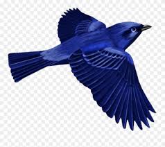 All blue birds clip art are png format and transparent background. Dark Blue Bird Clip Art Png Dark Blue Bird Png Transparent Png 1923381 Pinclipart
