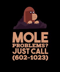 Round all masses to the 10ths place. Chemistry Mole Problems Digital Art By Britta Zehm