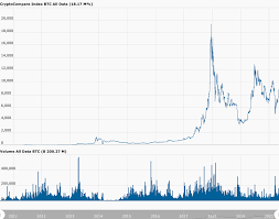 Ever since, however, the cryptocurrency has been on a steady decline. Does It Make Sense To Say That The Daily Price Of Bitcoin Doesnt Matter Cryptoglobe