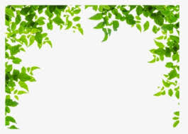 Choose from all borders or one at a time. Leaf Border Png Images Free Transparent Leaf Border Download Kindpng