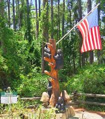 Maybe you would like to learn more about one of these? Pineglen Motorcoach Rv Park Panama City Beach Fl Foto S En Reviews Tripadvisor