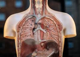 Jun 05, 2021 · in varsta de 21 de ani, mihaita bariz sufera de fibroza chistica si este foarte implicat in sprijinirea pacientilor care sufera de aceasta afectiune. Cancerul De PlÄmani MetodÄ Mai EficientÄ De Depistare Precoce A Bolii Dcmedical Ro