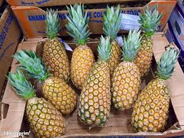 Pineapple Sugarloaf Togo Wholesaler Primeurs Du Sud Est Libertyprim
