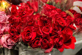 All flowers have deep meaning but the rose stands alone in its abundance of. How To Choose The Best Flowers For Valentine S Day All About The Symbolic Meanings Behind Roses Carnations And More Pennlive Com