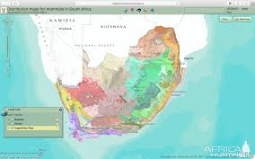 Vector eps city maps and wall maps. Vegetation Map South Africa Africahunting Com