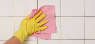 Abfluss Hausmittel Gegen Langsam Abfliessendes Wasser Fugen Reinigen Hausmittel Und Schimmel Entfernen