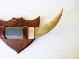 Vintage Mounted Bull Horns Wood Plaque With Animal Horn Rustic Natural History Wall Art Funky Home Decor Nature Br Browns Gifts Bull Horns Funky Home Decor