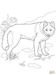 Dingo Wild Dog Coloring Page Supercoloring Com Dog Coloring Page Dog Outline Wild Dogs