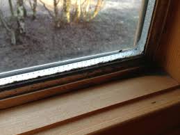 Moldy hotel room with the bed still made in 2020 abandoned. Black Mold On Bedroom Window Picture Of Quarry Walk Park Freehay Tripadvisor
