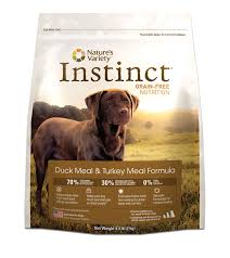 the lucky pup 10 dry dog foods your
