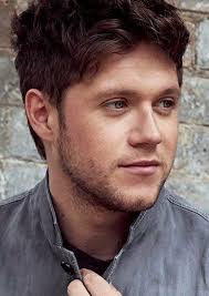 Fan Casting Niall Horan as Colton Christoper in Arch Angel