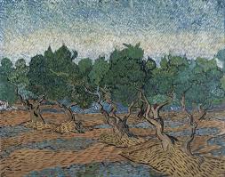 Olive Grove 1889 In 2020 Vincent Van Gogh Van Gogh Van Gogh Paintings