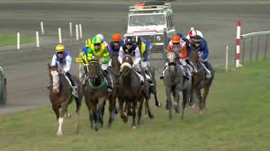 2.400m drafrennen met autostart, internationaal, gentlemen drivers (de. Ren 9 Waregem Koerse 2019 St Leger Vlakke Galop Youtube