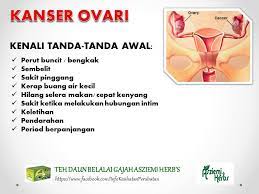 Kanser rahim juga dikenali sebagai kanser endometrial. Penawar Masalah Sakit Puan Kanser Pangkal Rahim Atau Serviks Adalah Sejenis Penyakit Di Mana Terdapatnya Sel Sel Kanser Di Dalam Pangkal Rahim Seseorang Wanita Serviks Dirujuk Kepada Apa Sahaja Struktur Yang Berbentuk