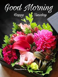 Good Morning Happy Tuesday