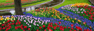 Find and follow posts tagged taman bunga on tumblr. Perlu Bunga Di Bandung Yuk Ke 8 Taman Bunga Dan Florist Ini