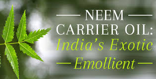 Neem Oil - A Powerful Medicinal Oil - Uses & Benefits for ...