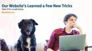 Our convenient pet hospitals are located in select banfield pet hospital. Banfield Pet Hospital 3610 Rosecrans Street San Diego Reviews And Appointments Topvet