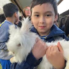 Querida comunidad Santa Martina, la semana pasada el 2do básico A realizó  su salida pedagógica a la Granja Educativa Buena Vista por camino Trumao,  Osorno. #colegiosantamartaosorno #colegiosantamarta #osorno #buenavista  #granjaeducativa