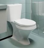 Assento sanitário: como escolher o certo para o seu vaso?