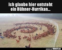 Ich Glaube Hier Entsteht Ein Huhner Hurrikan Lustige Bilder Spruche Witze Echt Lustig