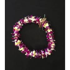 We did not find results for: Carlsbad Florist Ohana Creations Local Flower Delivery Carlsbad Ca 92008