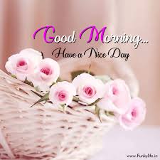 Monday good morning wishes good morning monday images monday wishes morning pics good morning quotes happy monday happy akshaya tritiya images happy diwali images birthday wishes cake. 250 Good Morning Images Pictures Beautiful Morning Wishes 2021