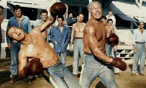 Cool Hand Luke | You're a Cinematic Idiot and I Feel Sorry For You