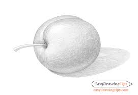 Draw short curves along the edges of the circle. How To Draw A Plum Step By Step Easydrawingtips
