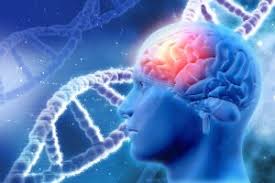 Symptoms of the Weak Nervous System - SLG