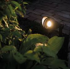 Focus 12v Plug Play Led Garden Spotlight Garden Spotlights Led Outdoor Lighting Outdoor Lighting