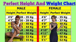 Perfect Height And Weight Chart For Men And Woman Youtube