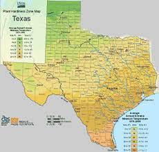 Texas Planting Zones Usda Map Of Texas Growing Zones Planting Zones Texas Planting Zones Texas Gardening