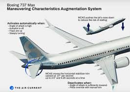 737 max operated by ethiopian airlines rattled confidence in the u.s. 10 Facts About The Boeing 737 Max Air Crashes Listverse