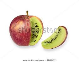 Handy in a food short warming world. Gallery For Transgenic Organism Fruit Fruit Apple Organs