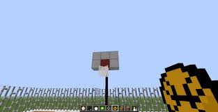 If you have a little one who is an aspiring basketball player and you just want to set up an indoor basketball hoop that can be installed in your child's room or in. Sportscraft Minecraft Texture Pack