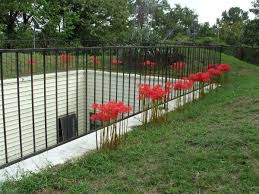 Why We Don T Like Our Underground House Dengarden