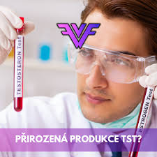 Jak zvýšit přirozenou produkci testosteronu? Obecné informace Pokročilé  Viditelnost Rubriky