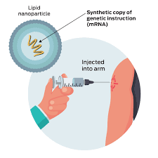 A vaccine works by training the immune system to recognize and combat pathogens, either viruses or bacteria. How Coronavirus Vaccines Work
