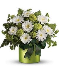 Patricks day flowers and fun green flowers there's a fun st patrick's day flower bouquet for everyone! St Patrick S Day Flowers